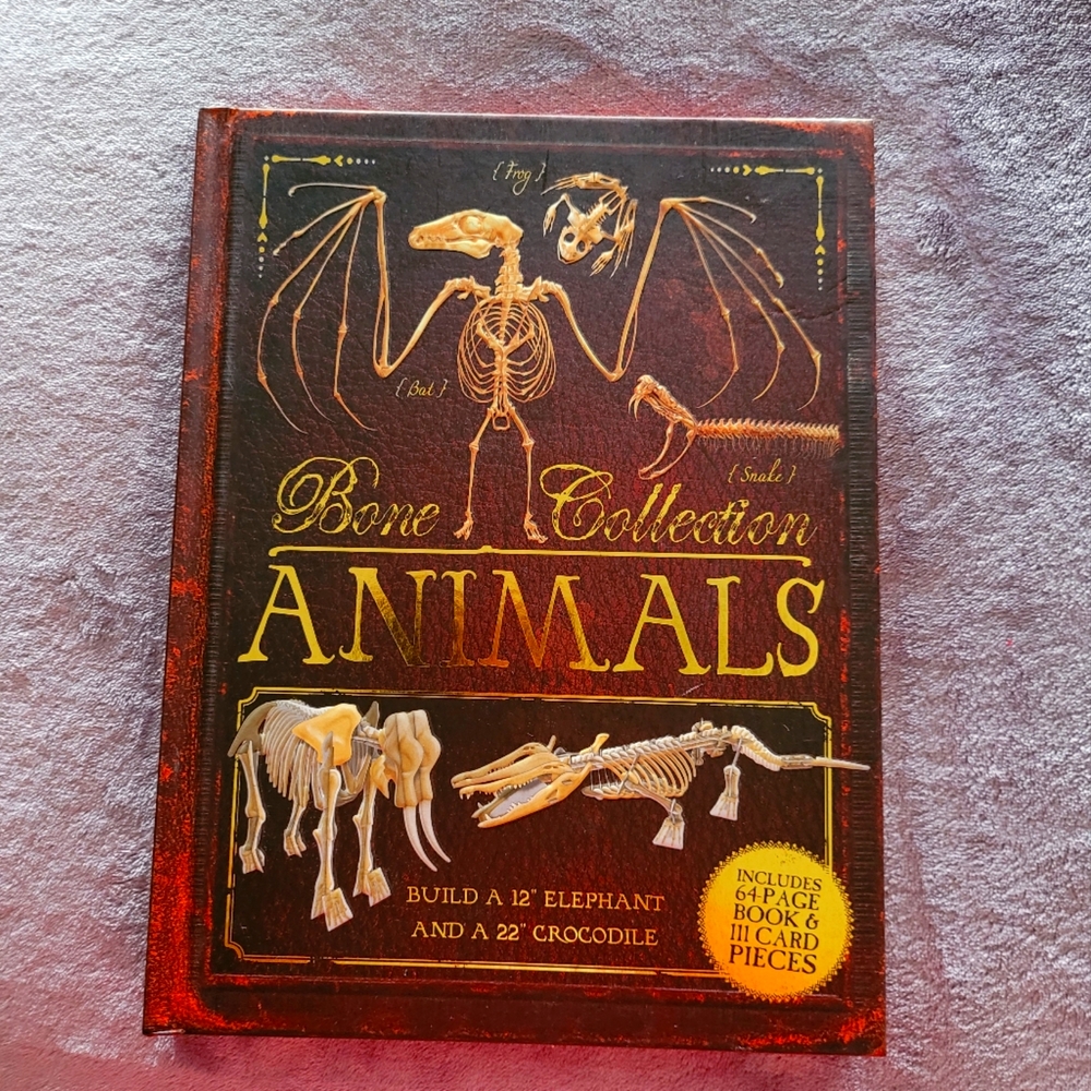 Bone Collection: Animals by Rob Coulson